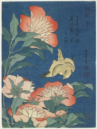 Peonies and Canary, C. 1833