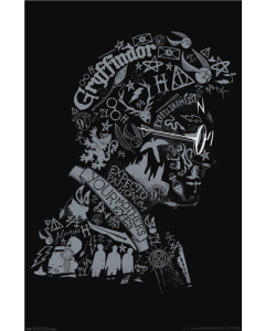 The Wizarding World: Harry Potter - Text Graphic of Harry Potter