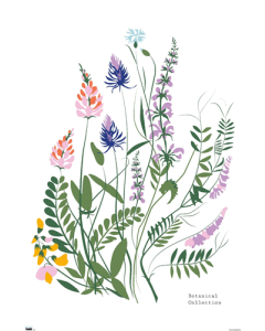 Botanical Collection - Wild Flowers