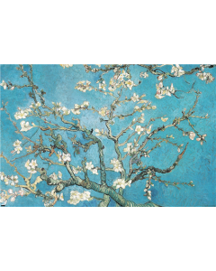 Almond Branches In Bloom by Vincent van Gogh