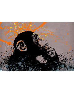 Thinker Monkey - The Graffiti Collection