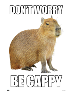 Capybara - Be Cappy