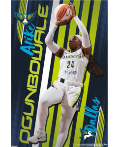 WNBA Dallas Wings - Arike Ogunbowale 25