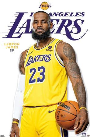 NBA Los Angeles Lakers - LeBron James Feature Series 23