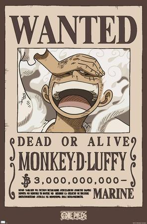 One Piece - Monkey D Luffy Wanted Poster
