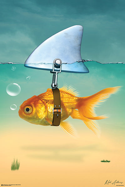 GOLD FISH