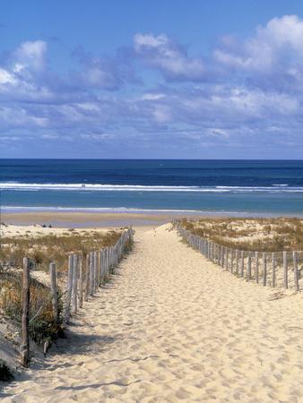 Cape Ferret, Basin d'Arcachon, Gironde, Aquitaine, France