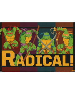 Teenage Mutant Ninja Turtles - Radical
