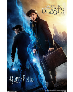 The Wizarding World: Harry Potter and Fantastic Beasts