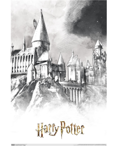 The Wizarding World: Harry Potter - Illustrated Hogwarts