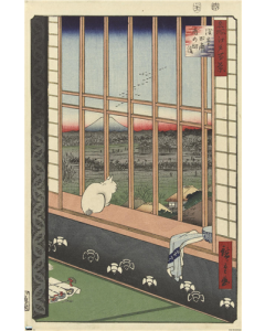 Asakusa Ricefields - Torinomachi