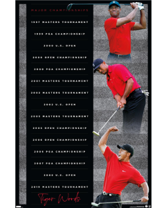 Tiger Woods - Majors