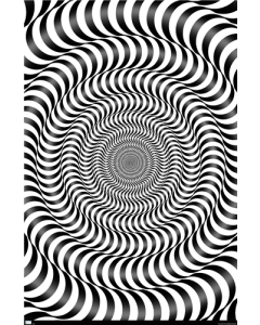 Zebra Stripe Optical Illusion