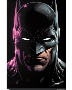 DC Comics Batman - Portrait