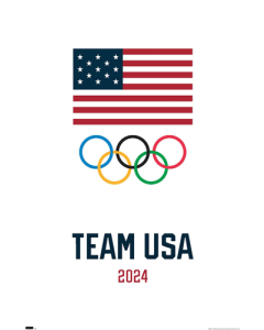 Team USA - Logo