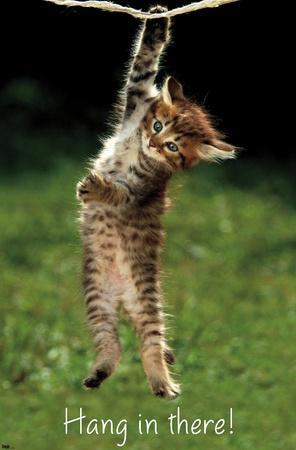 Famous Kitten Hang In There Poster