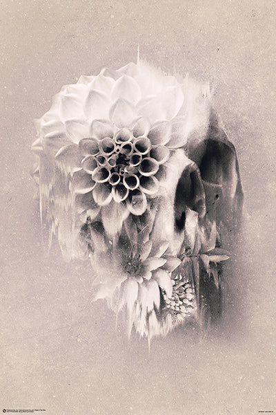 DECAY SKULL BY ALI GULEC