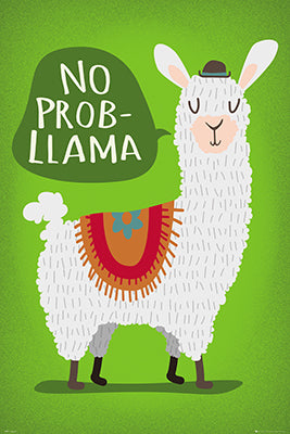 NO PROBLLAMA