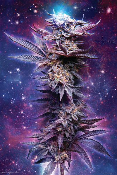 SPACED OUT